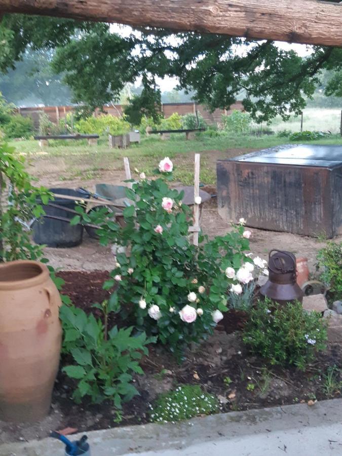 Saint-Paul-d'Uzore Atelier Natur'L Les Ronzieres מראה חיצוני תמונה